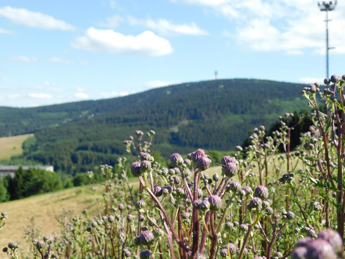 Rathaushotels Oberwiesenthal All Inclusive Eksteriør billede