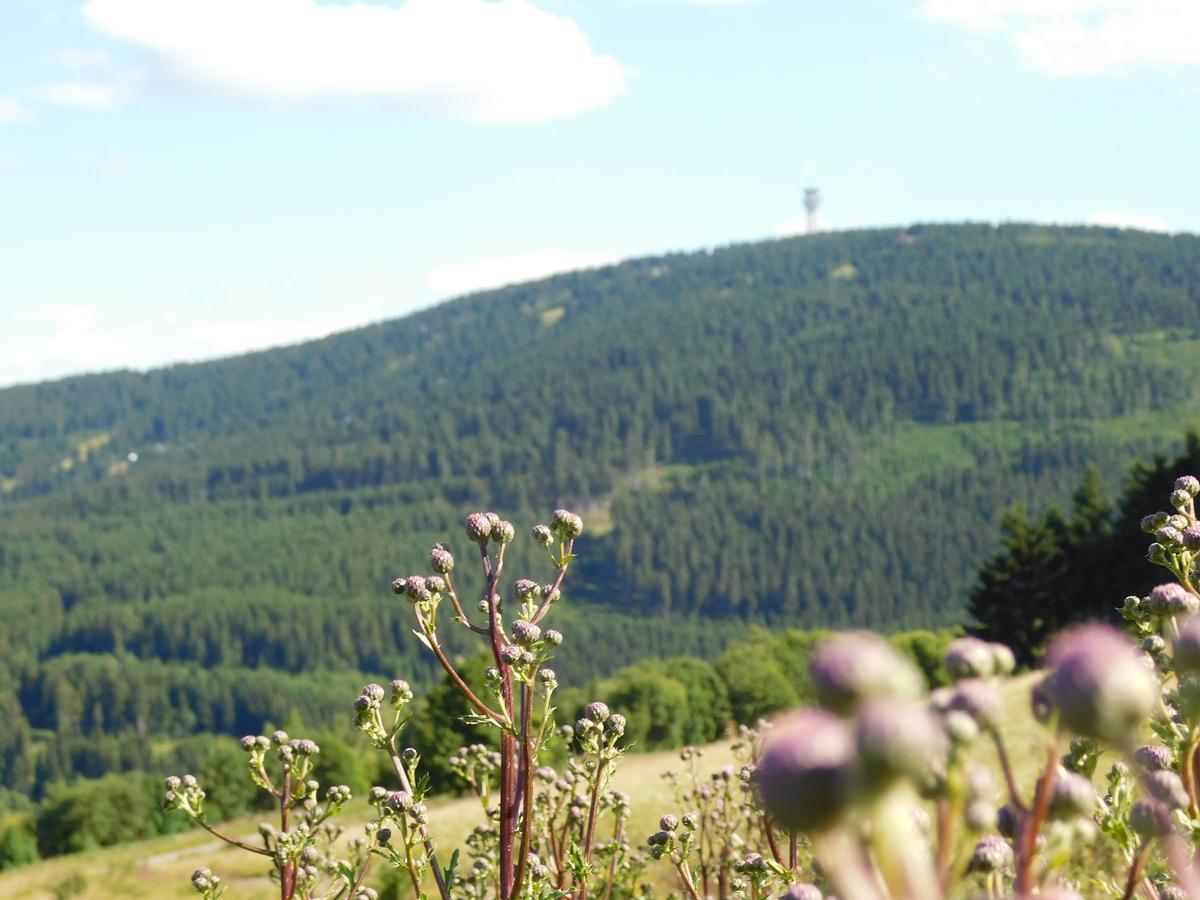 Rathaushotels Oberwiesenthal All Inclusive Eksteriør billede
